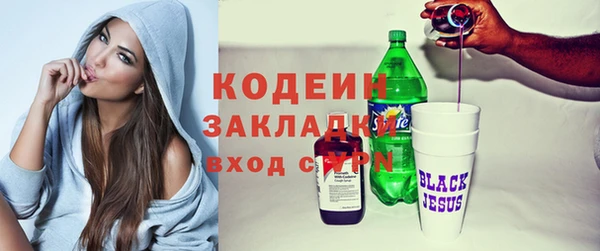 индика Касимов