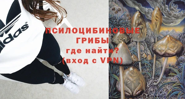 тгк Аркадак